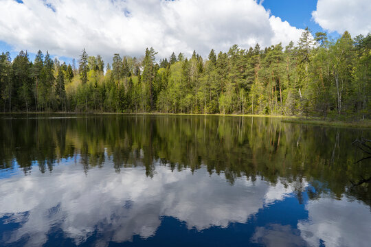 View of the forest lake, the system of Blue Lakes in Belarus © Valmond