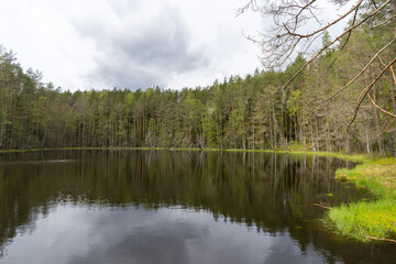 Obraz premium View of the forest lake, the system of Blue Lakes in Belarus