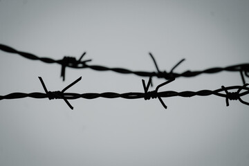 barbed wire fence