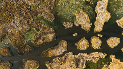 Aerial top-down view on abstract forms and shapes created by Totora plants and shallow waters of Lake Titicaca with reflections of clouds, close to the Uros Floating Islands in Peru. 