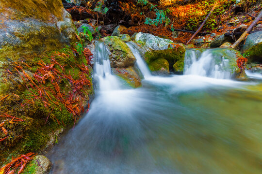 Small Waterfall on Hare Creek Flowing Through Coastal Redwood Forest in Hare Canyon, Limekiln State Park, Big Sur, California, USA © Billy McDonald