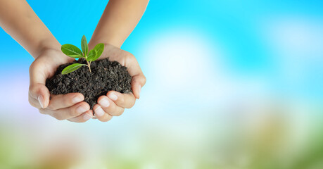 Concept eco earth day hand holding young plant on blur green nature background.