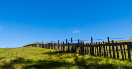 Fototapeta na wymiar Old Wooden Fence Reaching Across Green Pasture on Marshall-Petaluma Road Near Marshall,California,USA
