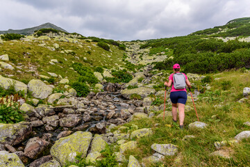 Girl with colored shirt and hat walking on high mountain green trails in Carpathian mountains 