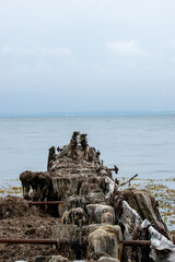 Old Pier on the beach