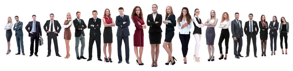 panoramic photo of a professional numerous business team