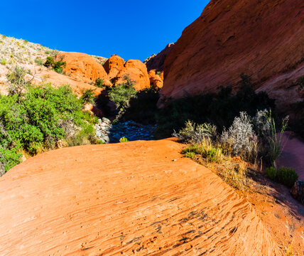 Patterns of Erosion Cut Into The Aztec Sandstone of The Calico Hills, Red Rock NCA, Las Vegas, Nevada, USA