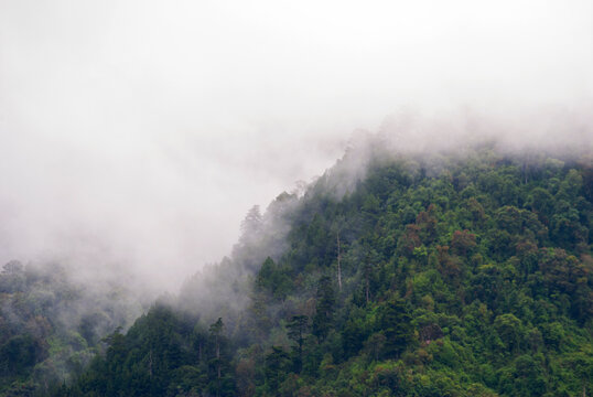 Mountainous forest landscape after the rain, clouds and fresh air, winter in Guatemala, land of forests, source of oxygen and pure water. © Byron Ortiz