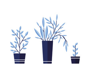 Vector illustration on a white background. Set of flowers in pots. Blooming house. Houseplants. Blue color. Eps 10 