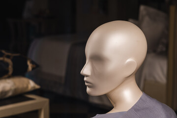 picture of a mannequin head