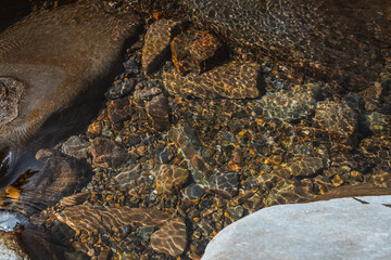 summer sunshine creates beautiful patterns on river stones under water