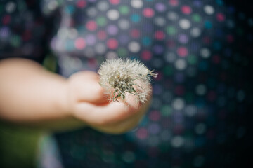 girl holding dandelion
