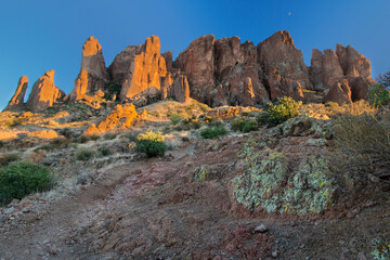 Naklejka premium Desert Lichens and Red Rock Sunsets