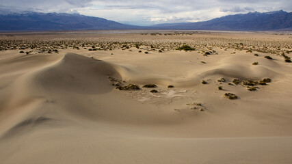 Fototapeta na wymiar Mesquite Sand Dunes, Death Valley NP