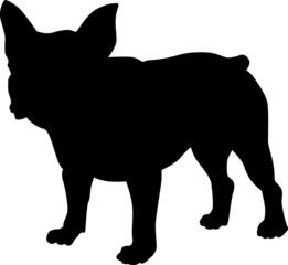 Vector silhouette of a small dog
