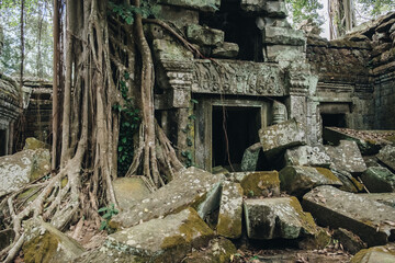 View of abandoned Ta Prohm temple, one of Angkor's best visited monuments. It is known for the huge trees and massive roots growing out of its walls in Siem Reap, Cambodia.