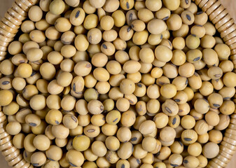 Top view Soybean pattern as for background