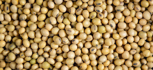 Top view Soybean pattern as for background