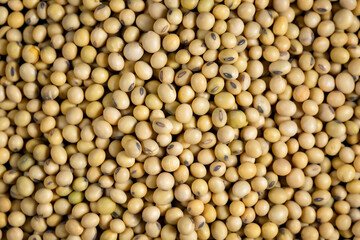 Top view Soybean pattern as for background