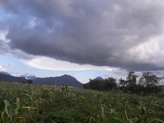 clouds over the mountains