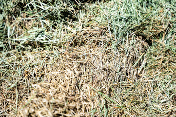 Grass clipping for mulch and compost in pile