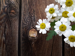 white flower on wooden wall