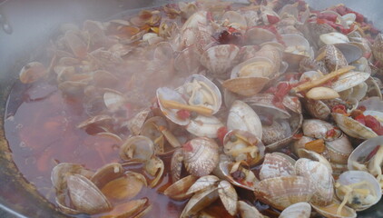 fresh oysters on the market