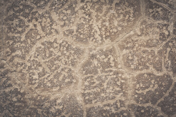 Roy cracked plaster wall background