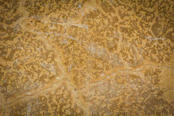 Roy cracked plaster wall background