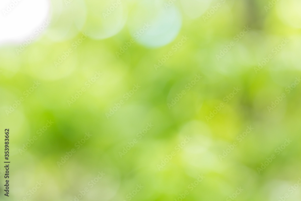 Poster abstract green bokeh and blur from light nature use as background image for pasting text or characte