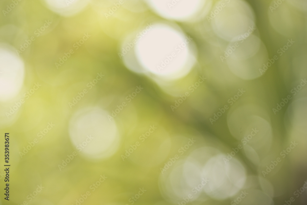 Poster abstract green bokeh and blur from light nature use as background image for pasting text or characte