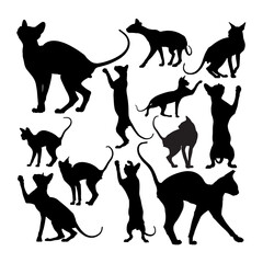Cute sphynx cat animal silhouettes. Good use for symbol, logo, web icon, mascot, sign, or any design you want.