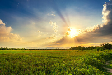 Landscapse of Field meadow and beautiful sunset