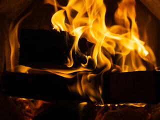 Birch firewood burns in a metal stove