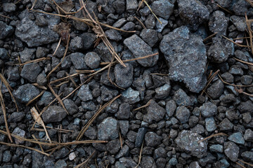 Texture of gravel road in coniferous forest