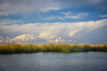 autumn landscape with lake