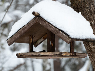 Wooden bird feeder covered in snow