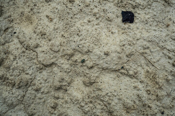 Texture of dried cracked clay. Macro background image of dried clay