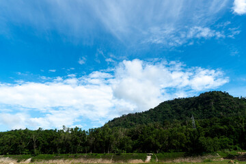 Mountains with abundant trees And there is one high voltage electricity pole. Under the blue sky and white clouds.