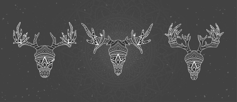 Vector set of skulls deer and moose with decorative pattern. White image on black textured background. Ornate silhouette.