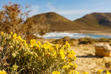 Beach El Playazo, seascape in Spain.