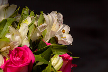flores