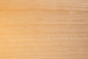 Close-up structure of a wooden slice of a plank, wooden background used for food photography, perfectly clean, natural peeled wood. construction workpiece