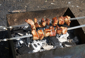 Skewers of meat, roasted on the coals.