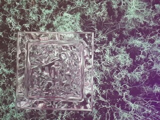 Fantasie / 
fantasy