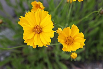 한국 경기도 시흥시 갯골생태공원 입니다