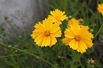 한국 경기도 시흥시 갯골생태공원 입니다