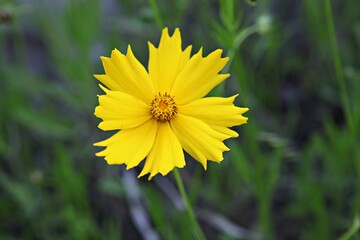 한국 경기도 시흥시 갯골생태공원 입니다