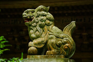 厳かな寺の境内に置かれた狛犬の像