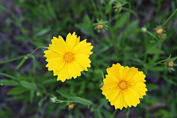 한국 경기도 시흥시 갯골생태공원 입니다